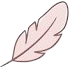 Lightweight feather icon pink